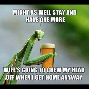 Meet your Posher, Denise